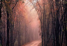 开云体育官网-河床挑战阿尔希拉尔，南美德比激烈升级