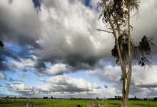 开云体育官方网站-帕尔梅拉斯调整后防线，迎战欧洲豪门难度加大