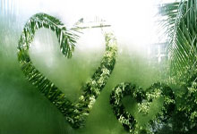 开云体育下载-欧预赛赛场，他们用双脚点燃的不止是足球！