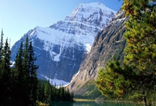 开云体育登录-绿茵燃情资本暗涌：解码足坛赛事的双面聚焦