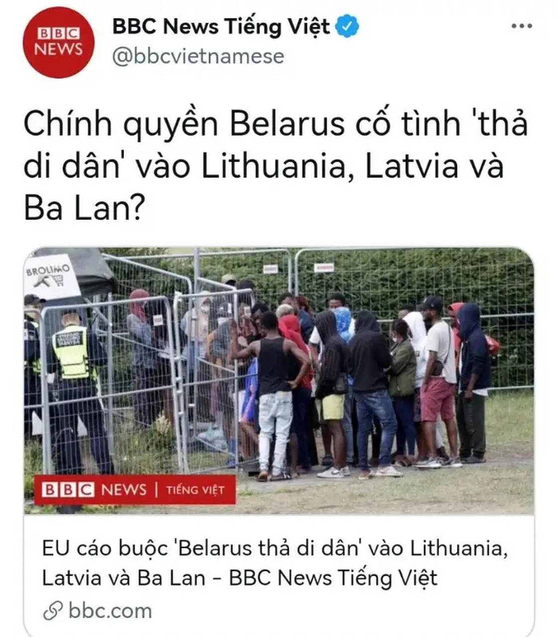 白俄罗斯主场大胜立陶宛,小组排名上升的简单介绍 白俄罗斯主场大胜立陶宛,小组排名上升的简单介绍