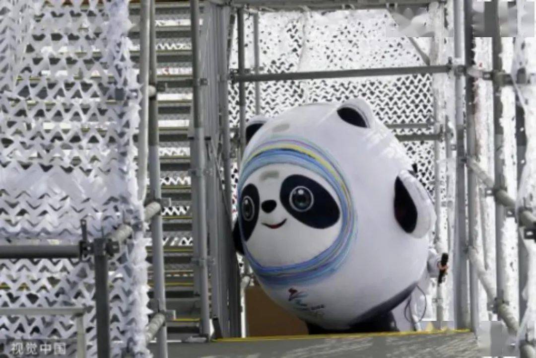 吉祥物将率队挑战辽宁宏远,双方备战正酣的简单介绍 吉祥物将率队挑战辽宁宏远,双方备战正酣的简单介绍